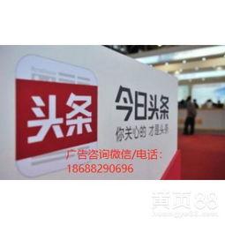 普陀区今日头条广告,广告带你领略区域魅力与活力