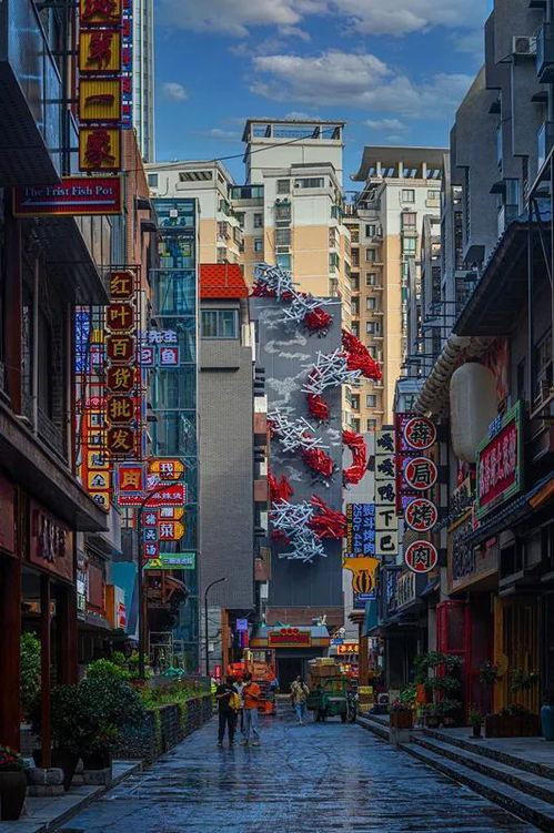 老城网红街,探寻历史与现代交融的时尚足迹