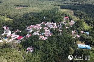 浦江县白沙镇头条,聚焦发展新动态，共绘乡村振兴新画卷