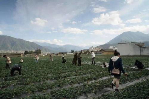 德昌乡网红,网红打卡地，魅力乡村新风尚