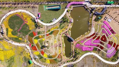 网红基地怎么开发,网红基地的多元化开发策略与市场拓展