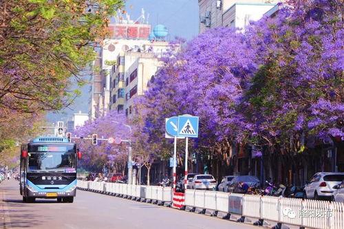 网红路报到,揭秘网络红人的幕后生活与影响力