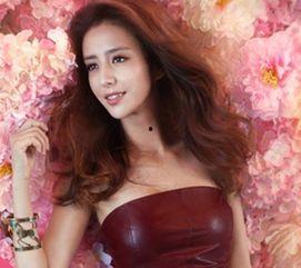 明星花朵拍照,花朵映衬下的明星瞬间