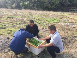 网红穷人我,揭开光鲜外表下的生活困境