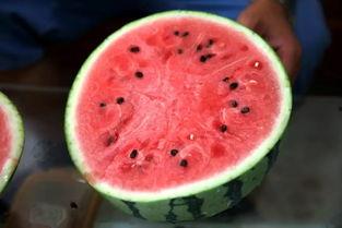 华亭市吃瓜,瓜果飘香，品味夏日清凉