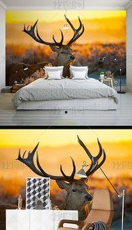 网红麋鹿草原,邂逅自然之美，探寻生态奇迹