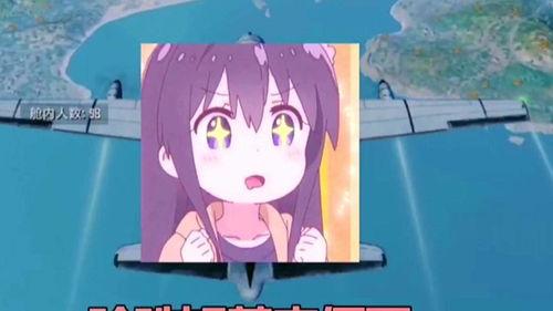 网红鸭接歌,欢乐旋律，趣味无限