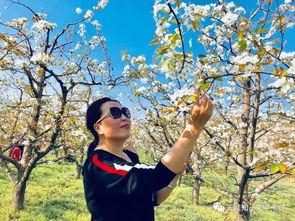 散文吃瓜趣事,笑谈吃瓜趣事