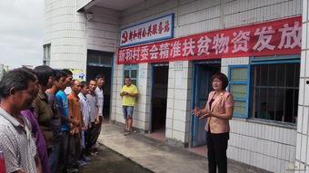 阳春市新和镇新闻头条