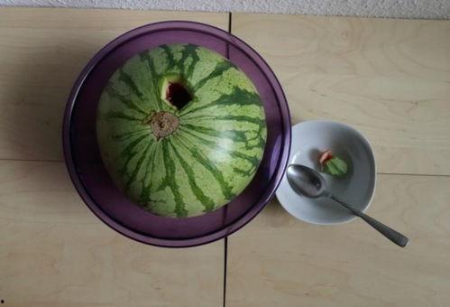 近日国外吃瓜新闻,最新“瓜”事盘点