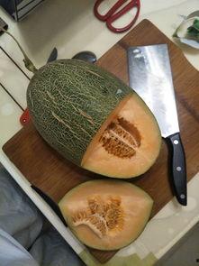 抖音网红瓜,热门事件背后的真相与反思