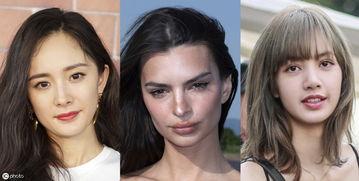 高级网红视频教程大全,高级教程大全深度解析