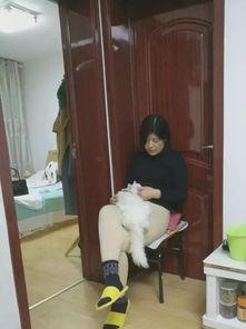 网红抖音套沙发,揭秘网红爆款沙雕视频背后的魅力