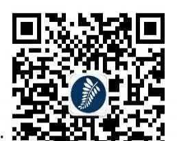 今日头条南方婚礼策划,打造独具特色的浪漫婚典