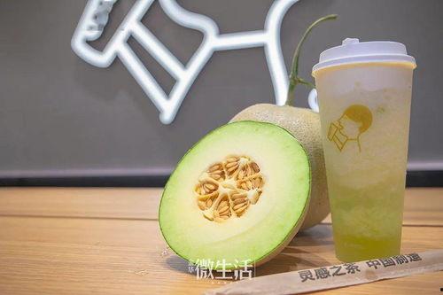 苏打喜吃瓜剧情