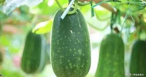 十二月吃瓜,盘点年度热门“吃瓜”事件