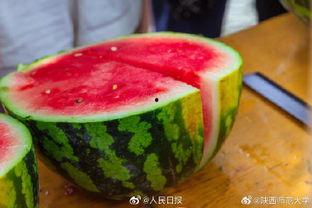 陕西师范大学免费吃瓜,清凉一夏共享甜蜜时光