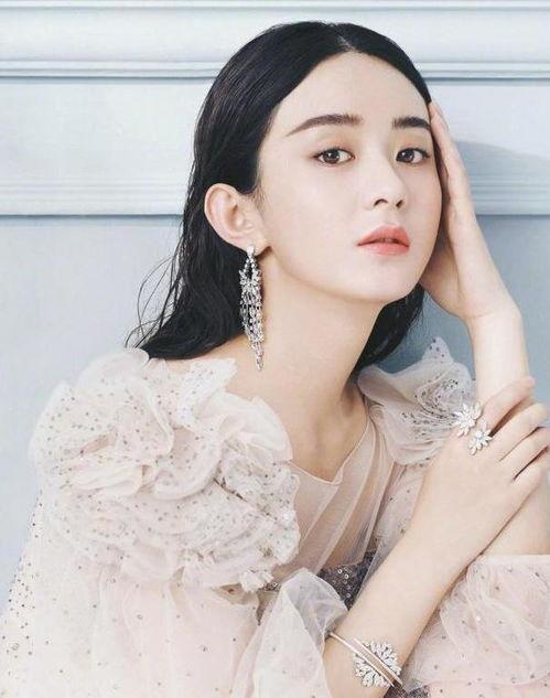 娱乐圈吃瓜大全pdf关于赵丽颖